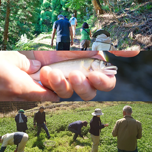 一般向け体験イベント